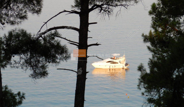 Οικόπεδο - Plot